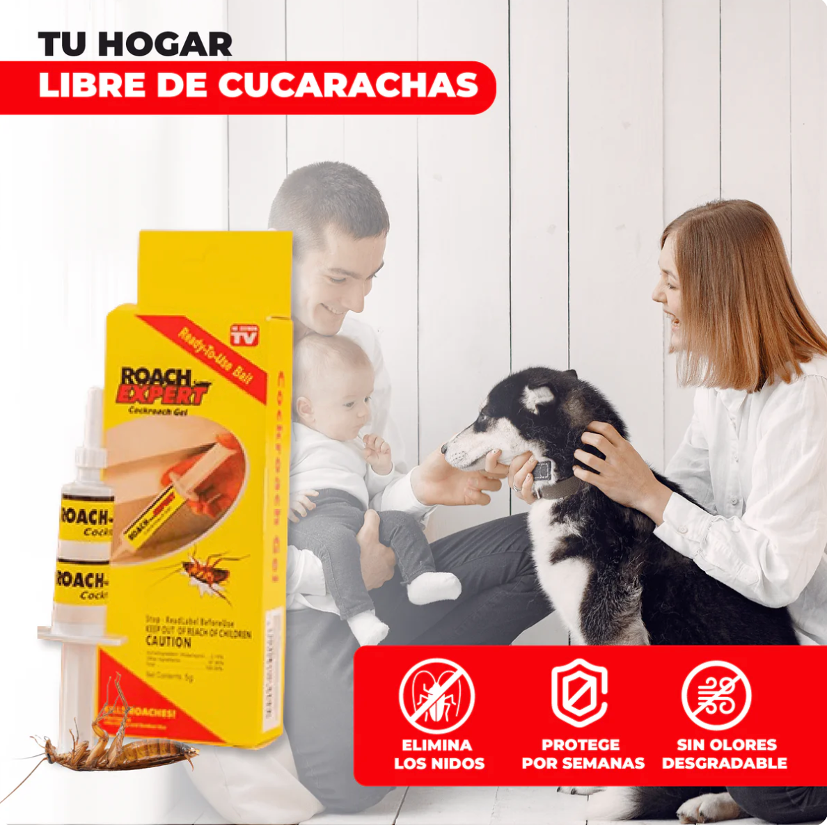 ROACH EXPERT - Eliminador de nidos de cucarachas