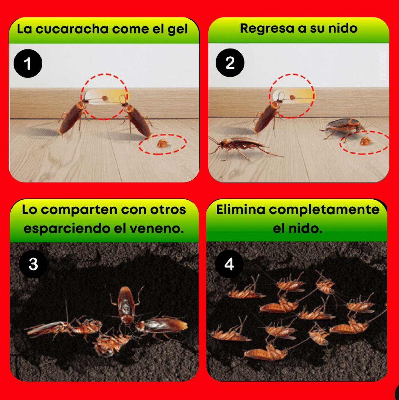 ROACH EXPERT - Eliminador de nidos de cucarachas