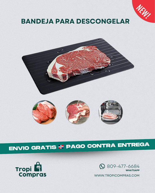 BANDEJA PARA DESCONGELAR