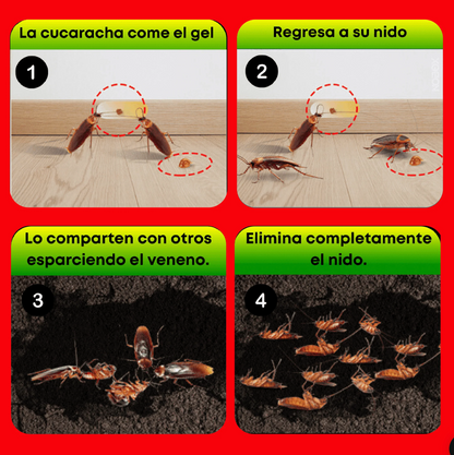 ROACH EXPERT - Eliminador de nidos de cucarachas