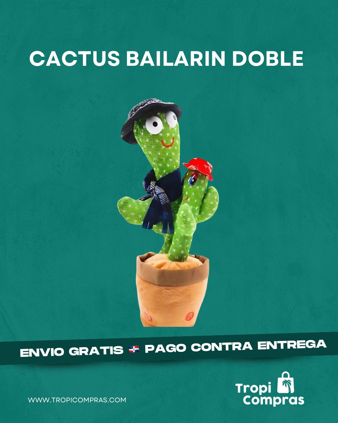 CACTUS BAILARIN DOBLE